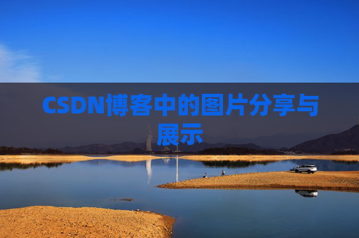 CSDN博客中的图片分享与展示